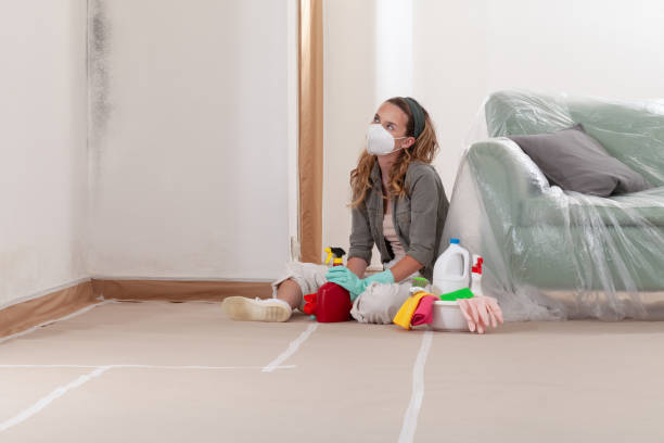 Reliable Mold Testing contractor in Chandler, TX by WQB Mold Removal